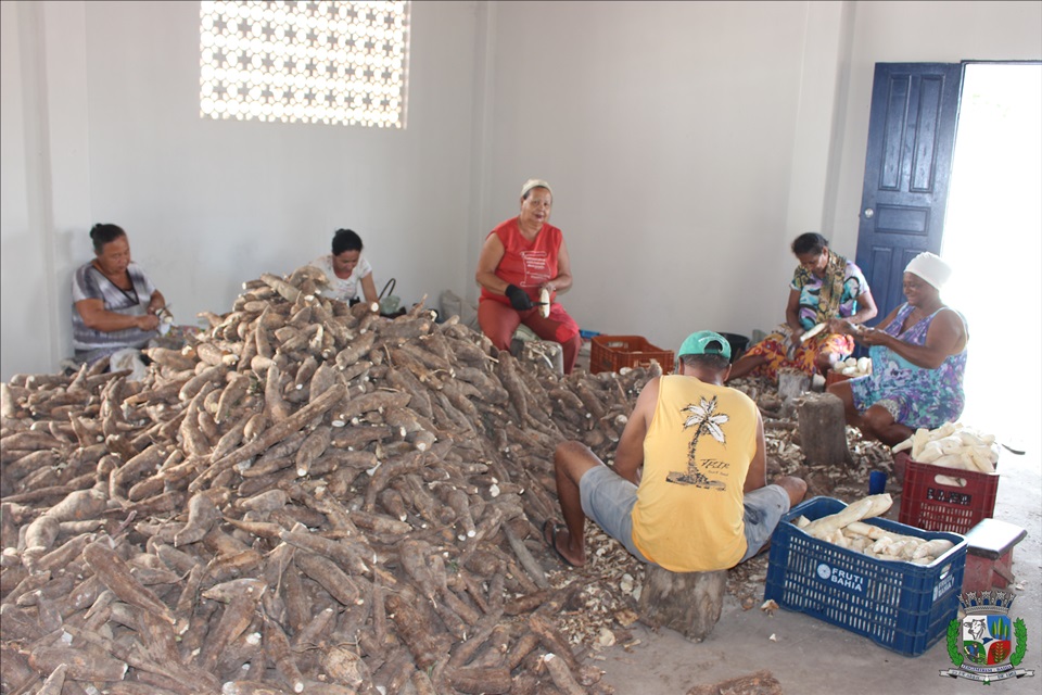 Farinheira da sede do município de Itagimirim retoma suas atividades 7